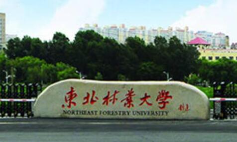 東北農(nóng)業(yè)大學(xué)成人高考【函授教育大專本科】
