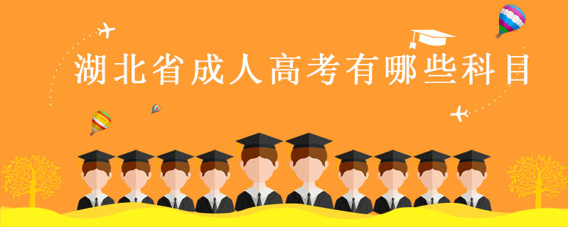 湖北省成人高考有哪些科目