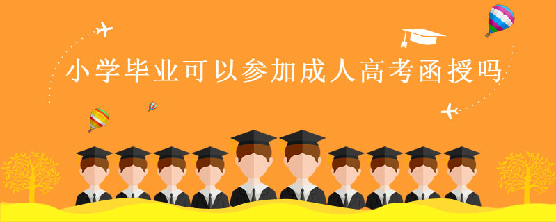 小學畢業可以參加成人高考函授嗎