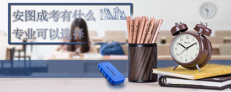 安圖成考有什么專業可以選擇