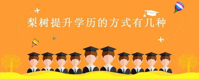 梨樹提升學歷的方式有幾種