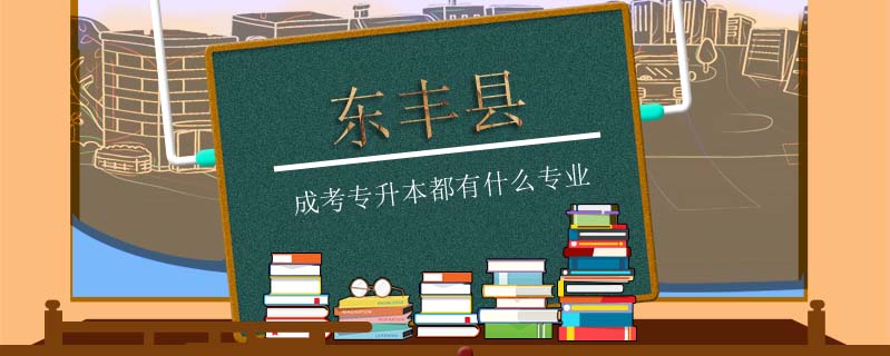 東豐縣成考專升本都有什么專業(yè)