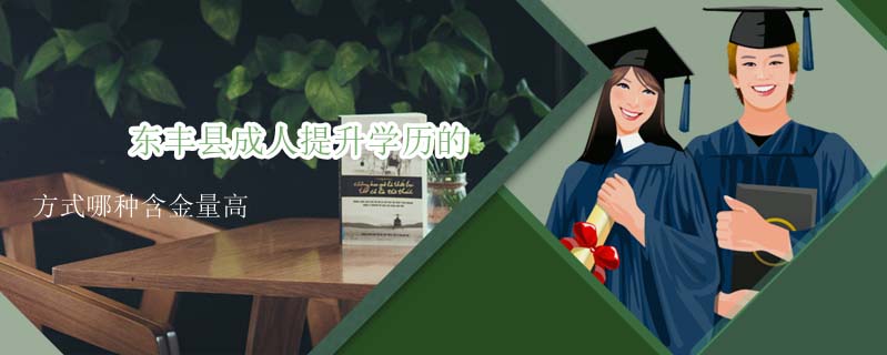 東豐縣成人提升學歷的方式哪種含金量高