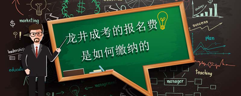 龍井成考的報名費是如何繳納的